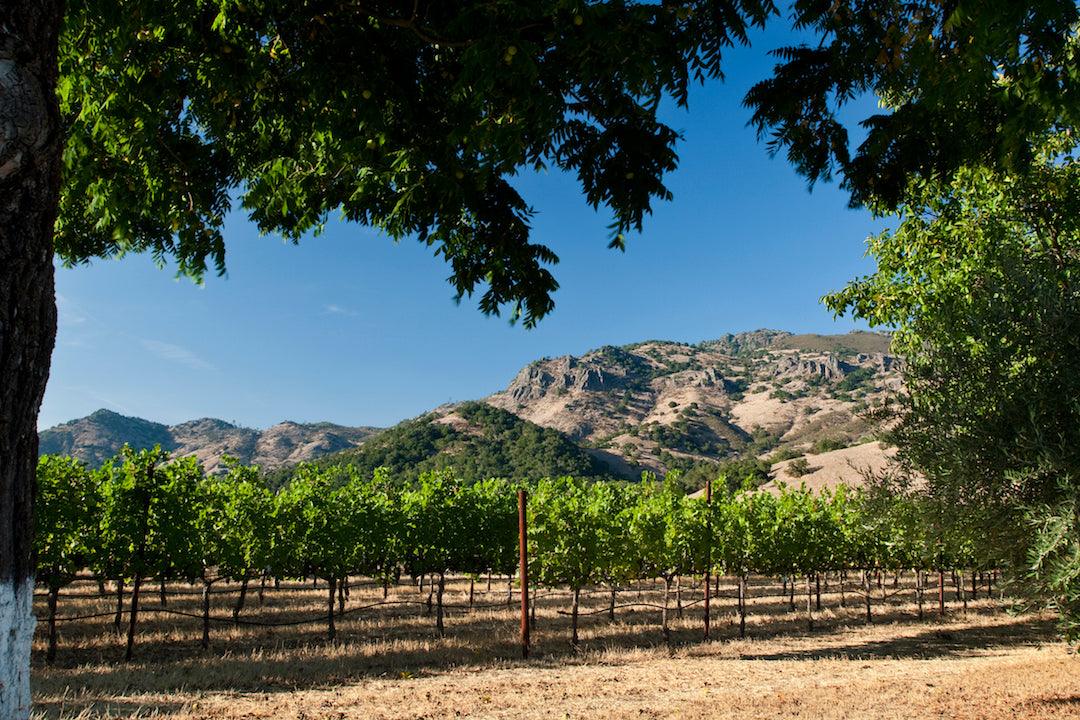 Sonoma County - Mercantile 12