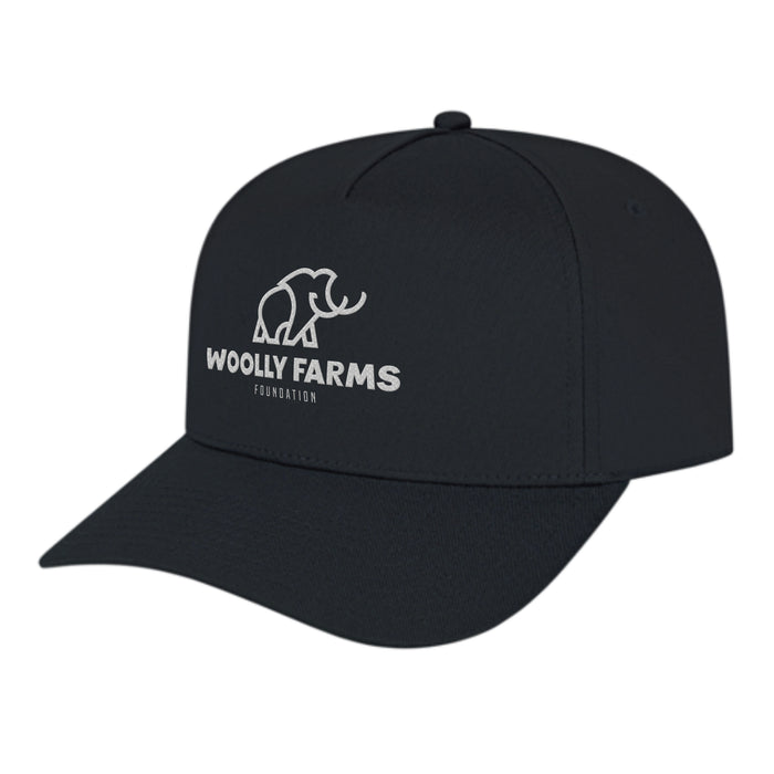 Custom BRAND / LOGO Cap America Poly/cotton 5 Panel Mid Profile Structured Hometown Cap