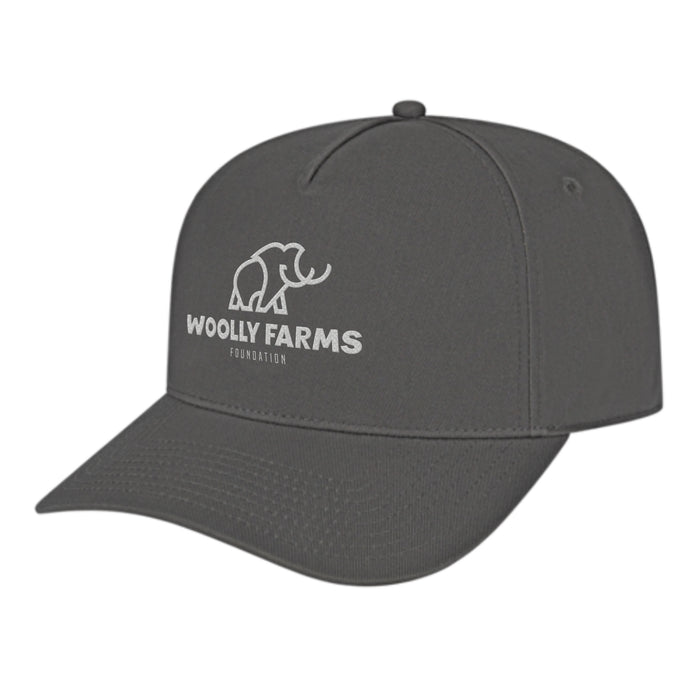 Custom BRAND / LOGO Cap America Poly/cotton 5 Panel Mid Profile Structured Hometown Cap