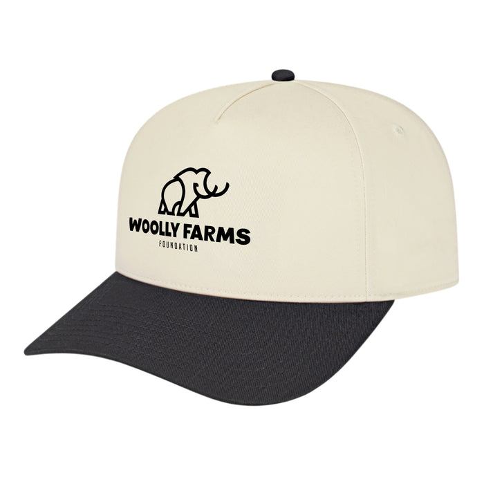 Custom BRAND / LOGO Cap America Poly/cotton 5 Panel Mid Profile Structured Hometown Cap