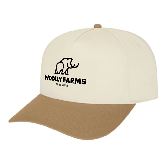 Custom BRAND / LOGO Cap America Poly/cotton 5 Panel Mid Profile Structured Hometown Cap