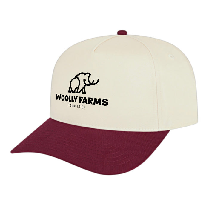Custom BRAND / LOGO Cap America Poly/cotton 5 Panel Mid Profile Structured Hometown Cap