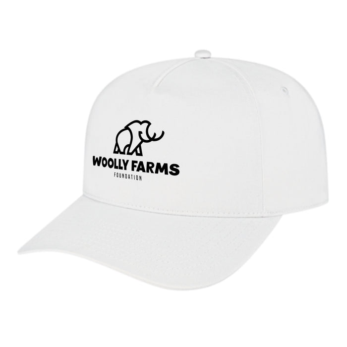 Custom BRAND / LOGO Cap America Poly/cotton 5 Panel Mid Profile Structured Hometown Cap