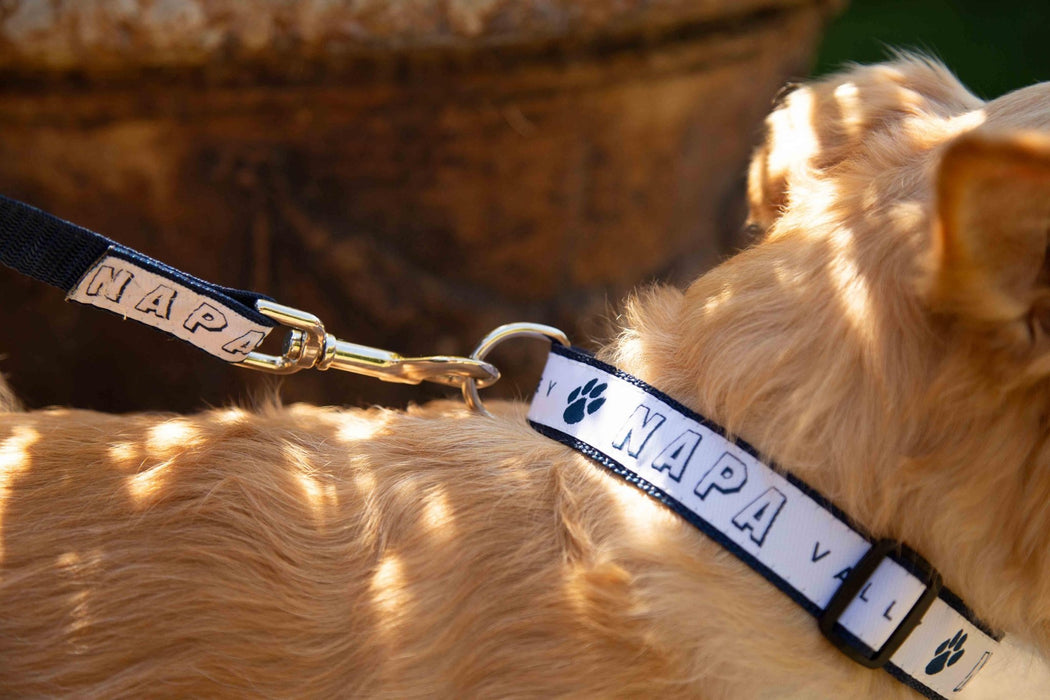 1" Dog Collar Printed with a Customizable BLOCK SPORT COLLECTION Design - Mercantile 12